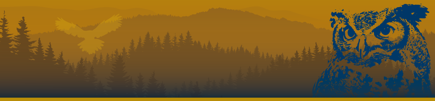 Default page banner image for Bailey Hill